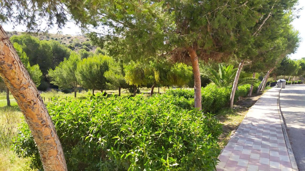 San Fulgencio Alojamiento En Urb La Marina מראה חיצוני תמונה